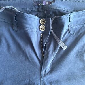 Prana Halle Blue Hiking Pants 12